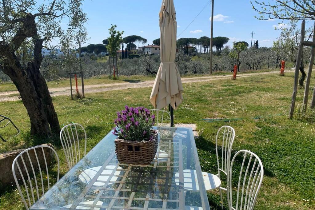 AntellaBilocale Con Giardino Alle Porte Di Firenze公寓 外观 照片